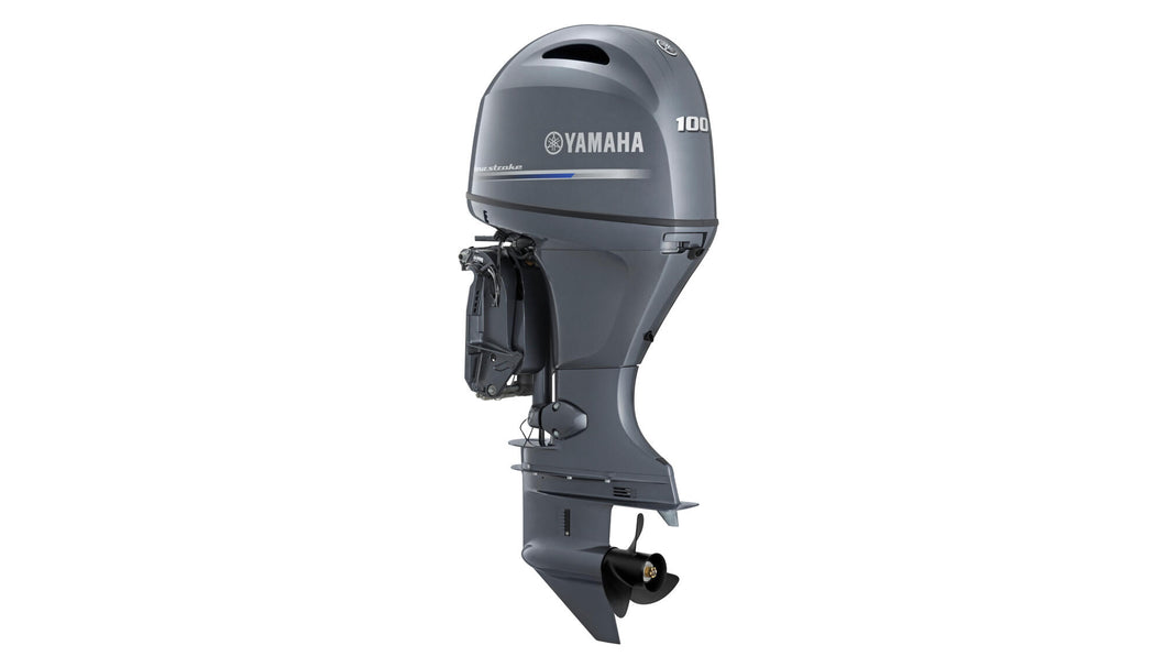YAMAHA F100B