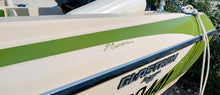 Carica l&#39;immagine nel visualizzatore di Gallery, Glastron La Raya Motorizzato Mercury 50 cv e carrello

